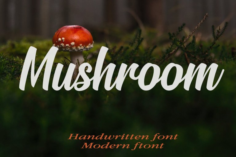 ◆mushroom◆ Mushroom Font - FreeFontDL